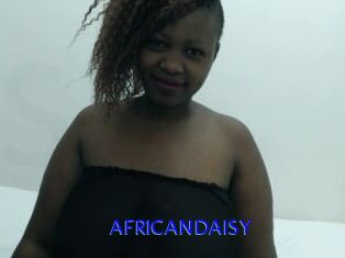 AFRICANDAISY