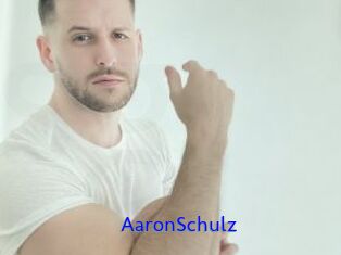 AaronSchulz