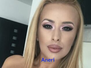 Aneri