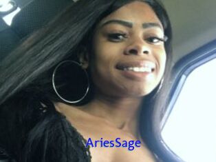 AriesSage