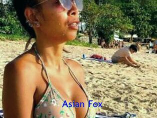 Asian_Fox