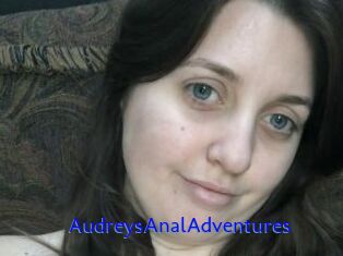 AudreysAnalAdventures