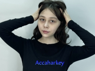 Accaharkey