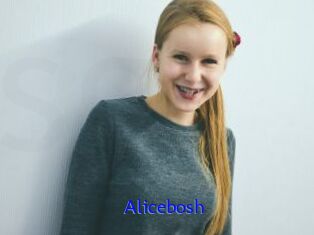 Alicebosh