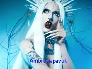 Ambrosiapavuk