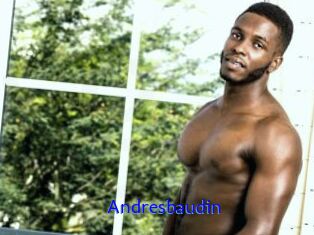 Andresbaudin