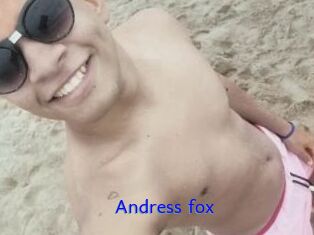 Andress_fox