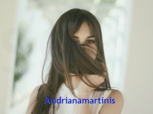 Andrianamartinis