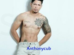 Anthonycub