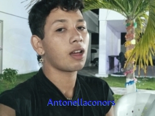 Antonellaconors