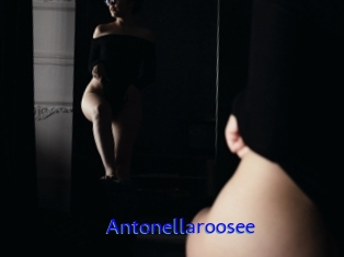 Antonellaroosee