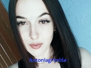 Antoniagrimble