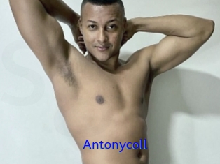 Antonycoll