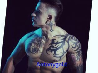 Antonygold