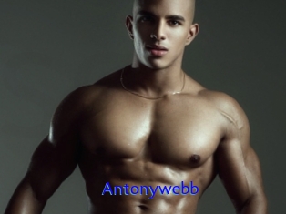 Antonywebb