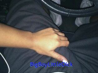 BigBoyLittleDick