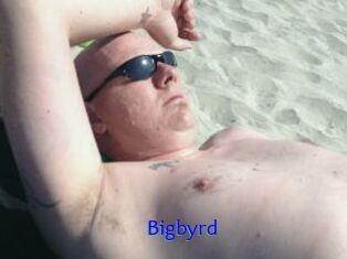 Bigbyrd