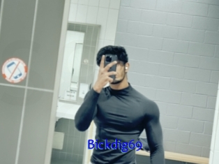 Bickdig69