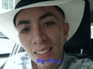 Big_dick23