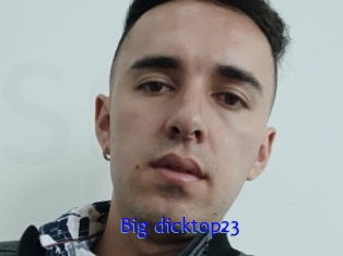 Big_dicktop23