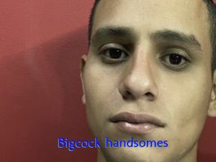 Bigcock_handsomes