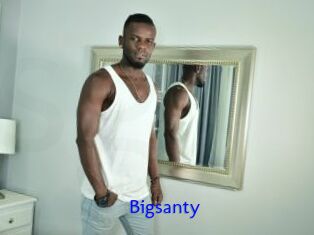 Bigsanty