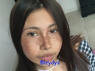 Bleydys