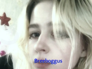 Breeboggus