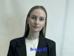 Breegriff