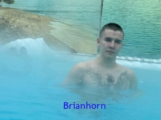 Brianhorn