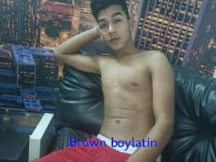 Brown_boylatin