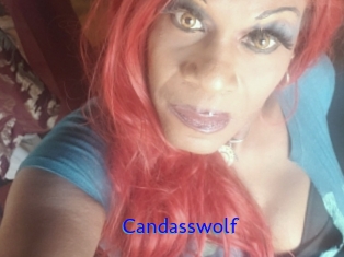 Candasswolf