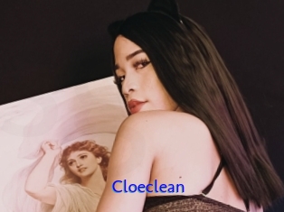 Cloeclean