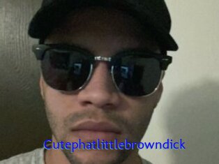 Cutephatlittlebrowndick