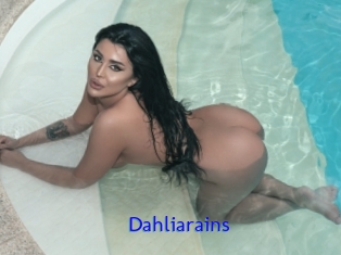 Dahliarains