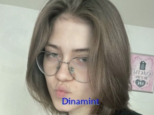 Dinamint