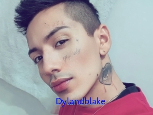 Dylandblake