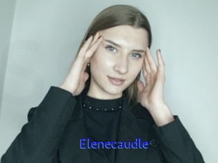 Elenecaudle