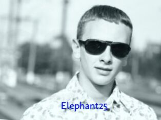 Elephant25