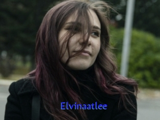 Elvinaatlee