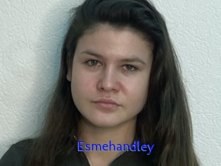Esmehandley