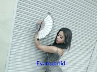 Evamadriid