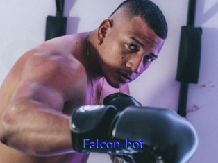 Falcon_hot