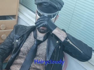 Hairycloudy