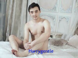 Harrygentle