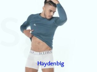 Haydenbig