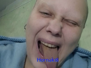 Hornak18