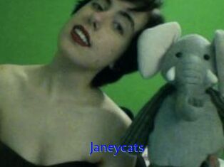 Janeycats