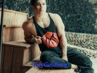 JoeyGoldberg