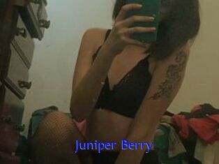 Juniper_Berry